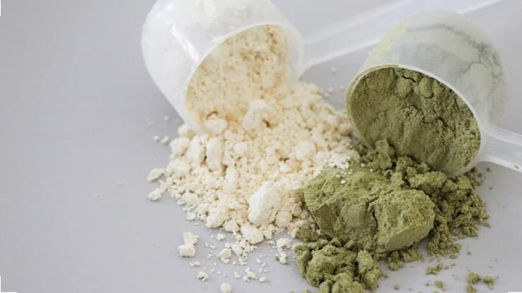 Why Pea Protein Powder Is One Of The Most In Demand Health Supplements Today
